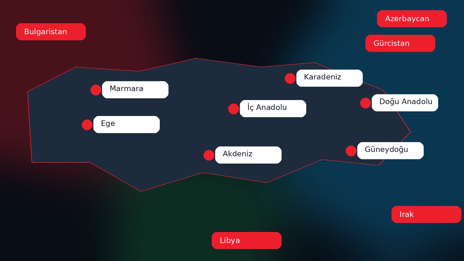 Uluslararası vinç proje ağı